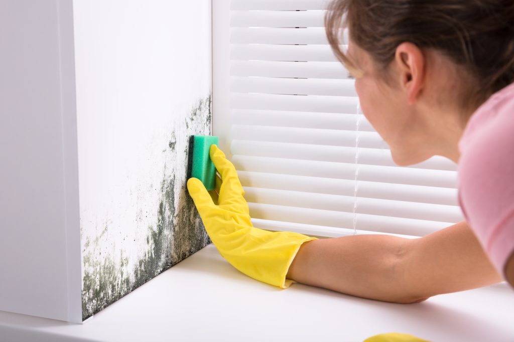 Condensation and mould treatment Edinburgh