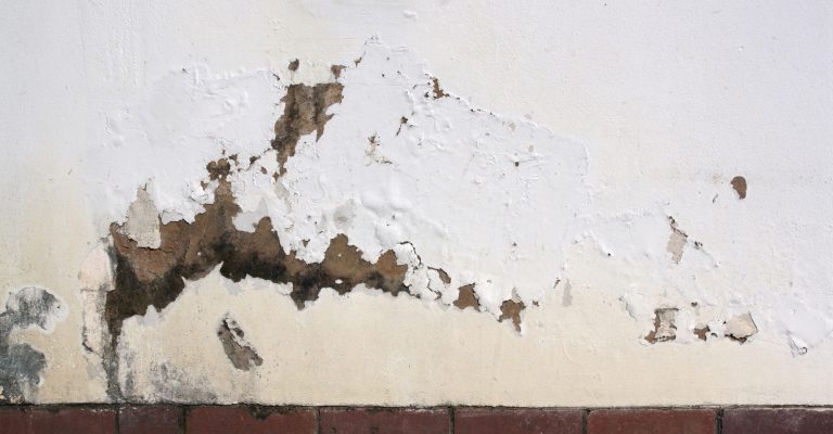 Flaking paint due to rising damp